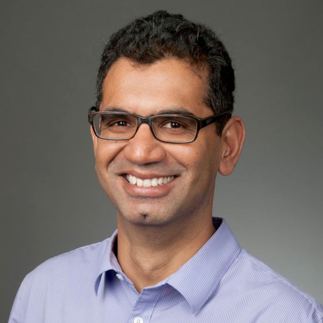 Pankaj Mehta Headshot