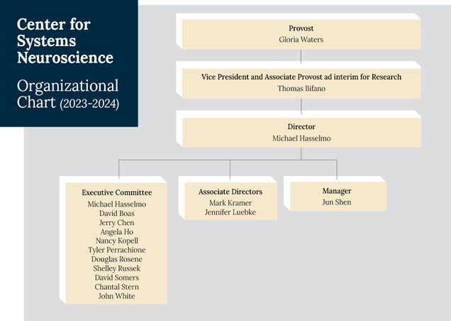 an organizational chart