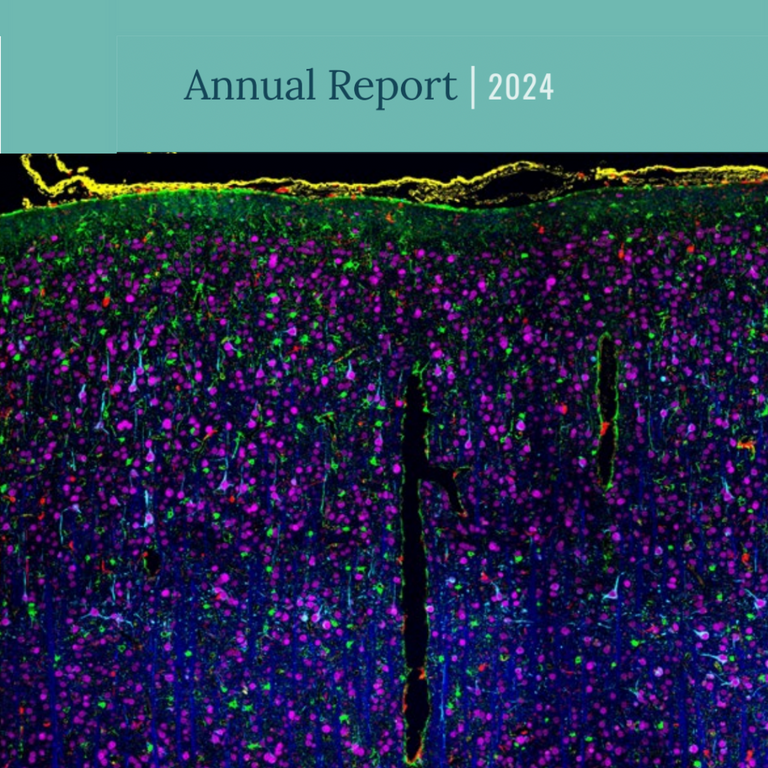 FT24 Annual report cover page