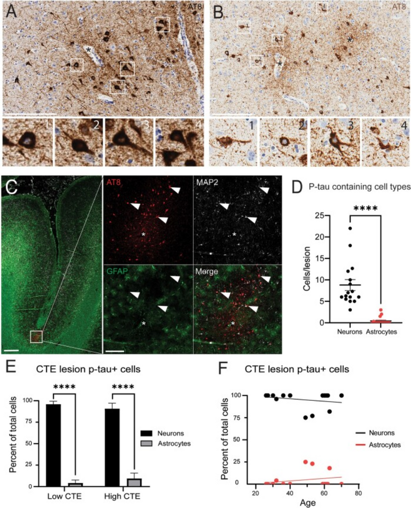 Significant Research Findings | CTE Center