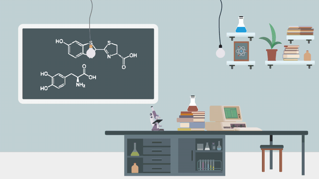 BiomedicalTranslation_GIF