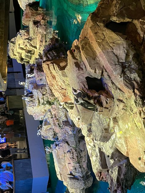 A waddle of penguins cluster on a large rock in the New England Aquarium as visitors look on.