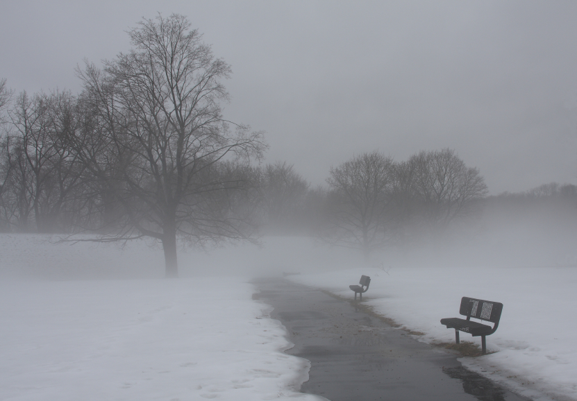 Fog looms over a winter scene.