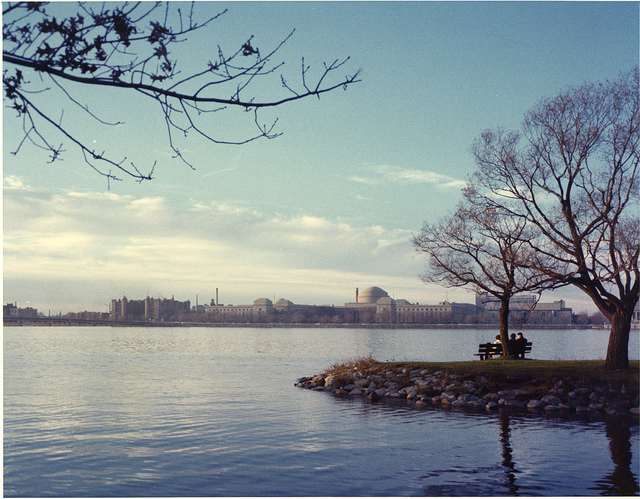 The Charles River Esplanade in Boston in spring. 
