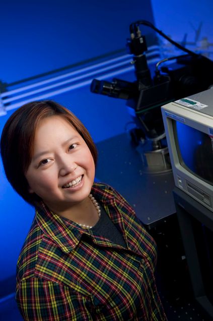 Professor Xin Zhang (ME, ECE, BME, MSE). Photo by Kalman Zabarsky for Boston University Photography