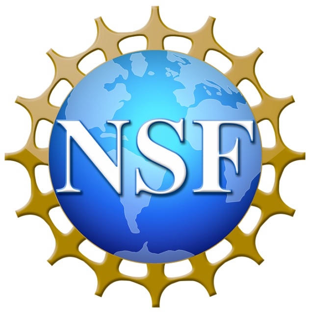 mse NSF logo