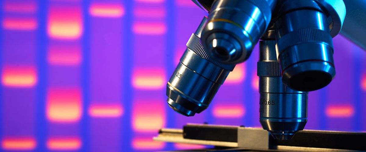 Imaging and Optical Science College of Engineering