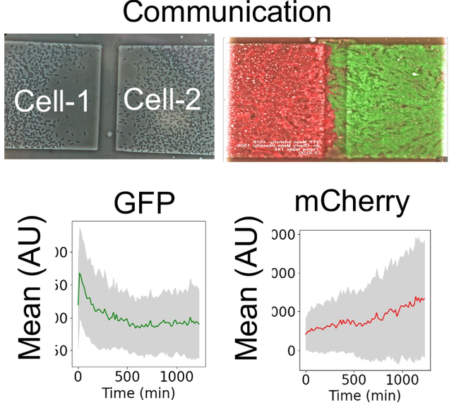 figure showing results of chip-based cellular communication