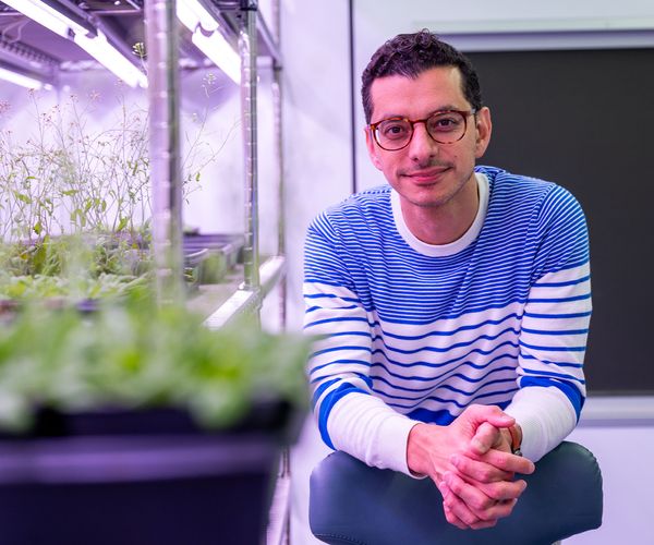 Mo Khalil sitting next to his plants