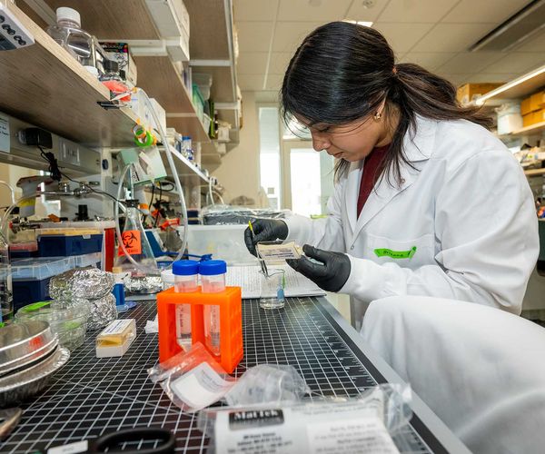 Student working in lab, photo by Cydney Scott