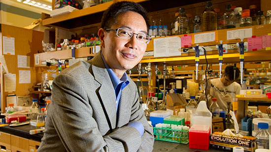 David A. Boas, PhD