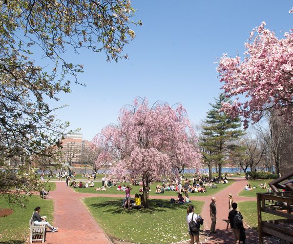 5/2/18 -- Boston, MA BU Beach May 1, 2018. Photo by Cydney Scott for Boston University Photography