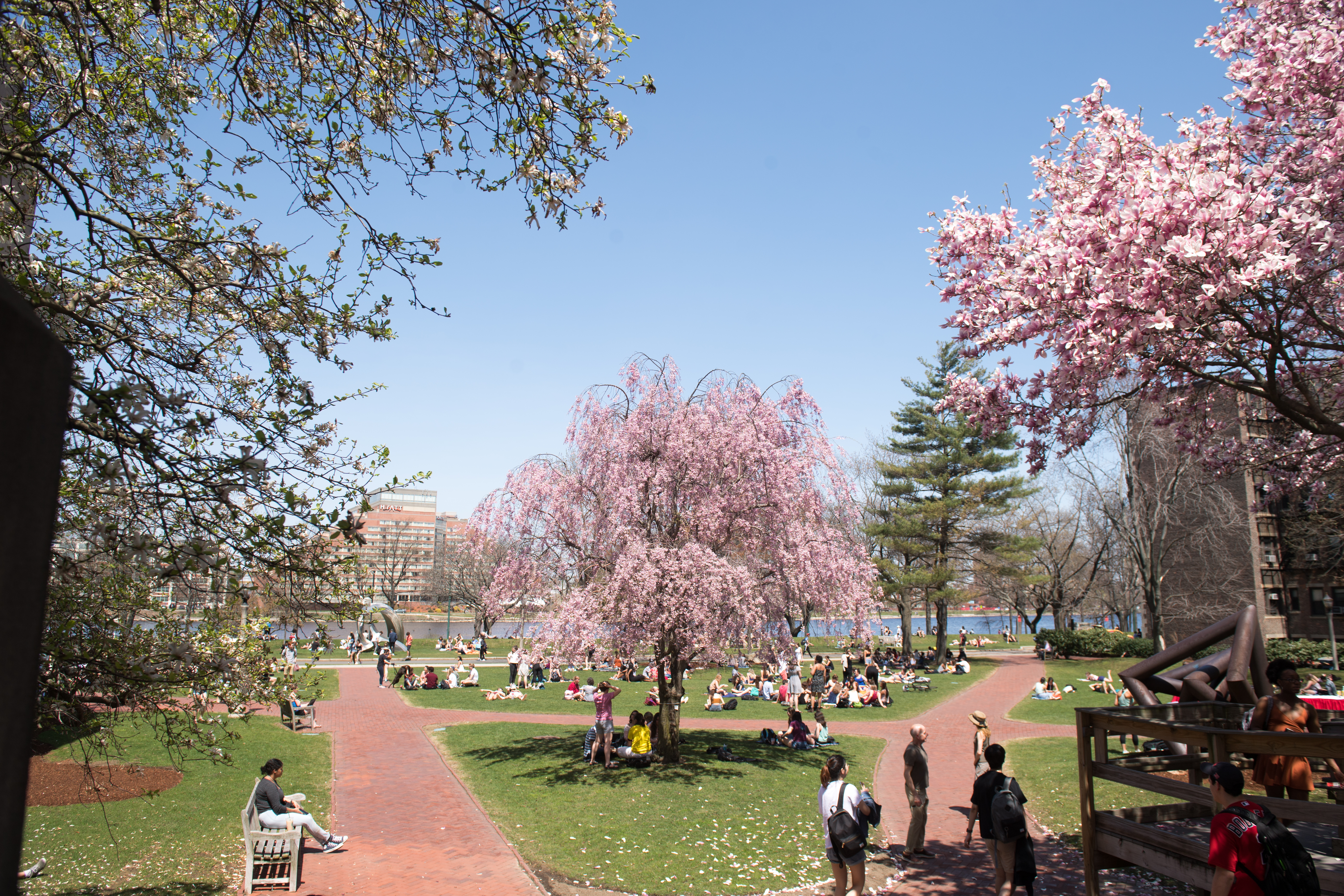 5/2/18 -- Boston, MA BU Beach May 1, 2018. Photo by Cydney Scott for Boston University Photography