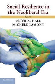 social resilience