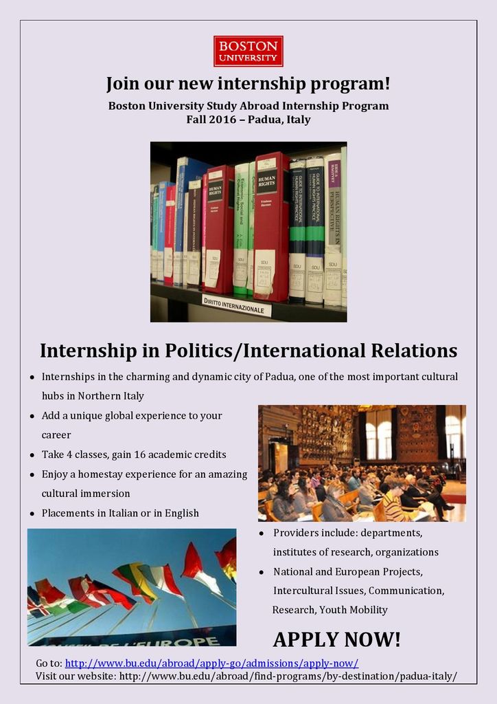 flyer Politics_IR-page-001