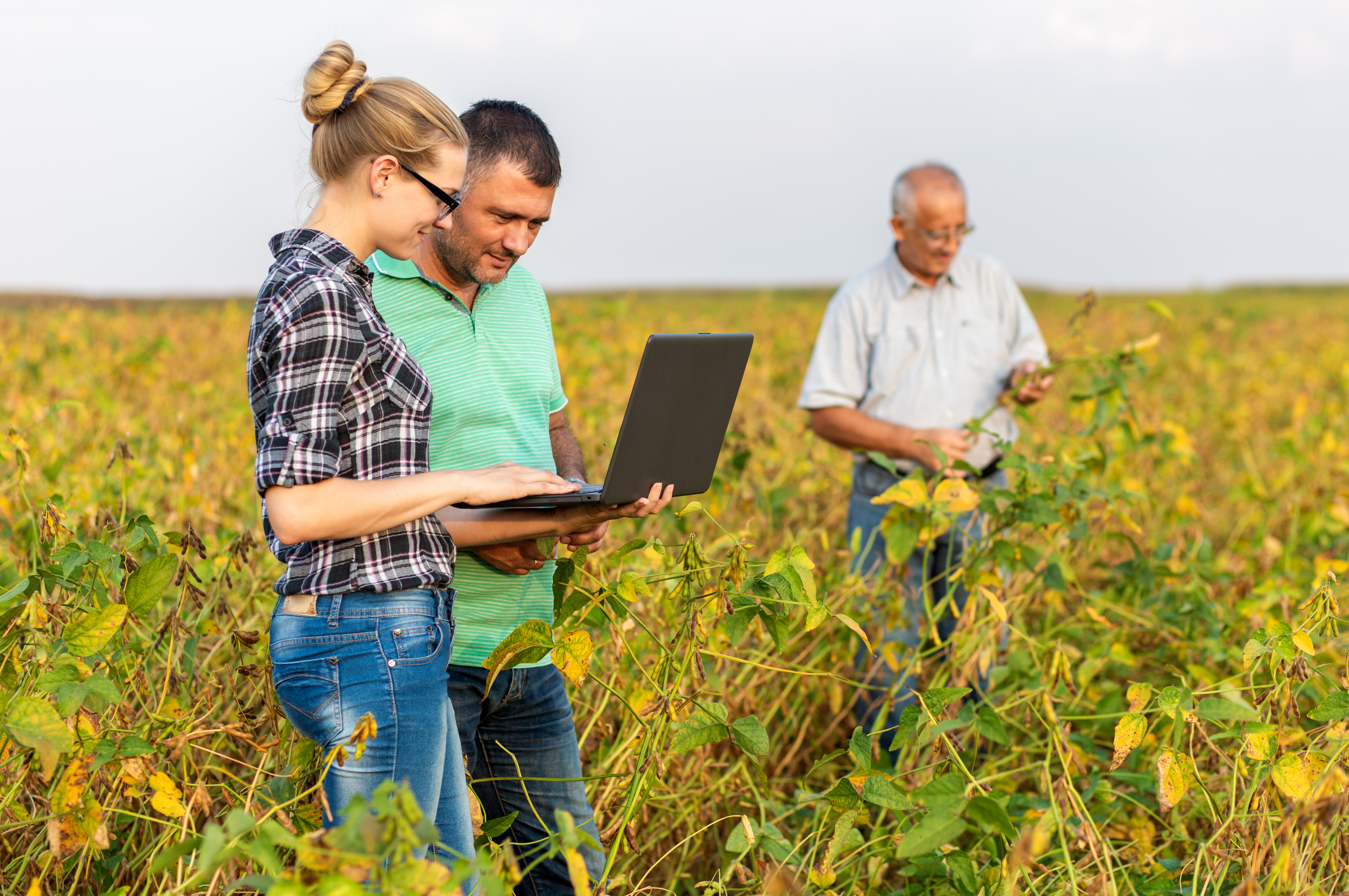 Experiential Learning | Institute for Excellence in Teaching & Learning
