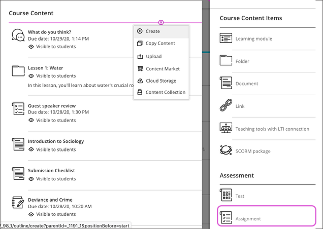 The image shows a screenshot of  Blackboard learning management system (Ultra) interface. 