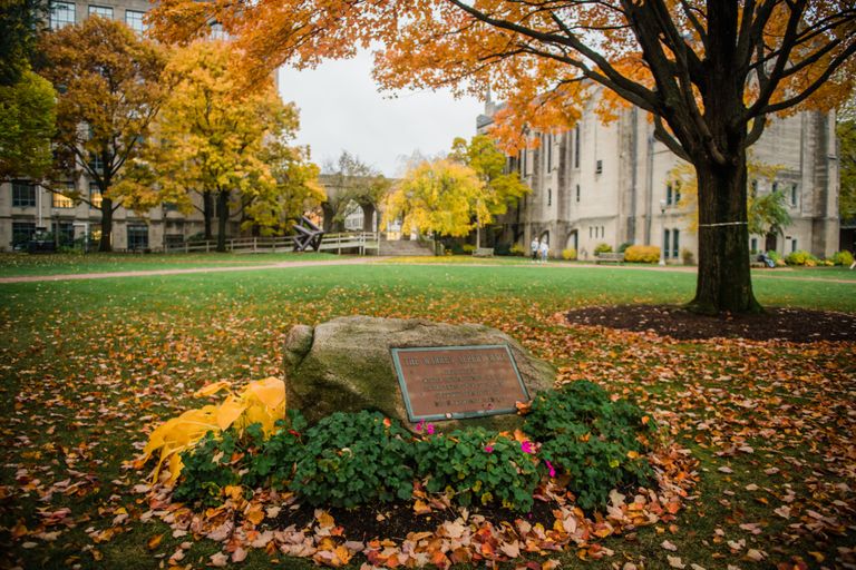 A photo of BU Beach in the fall.