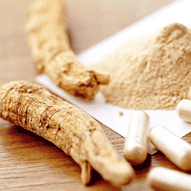 panax ginseng