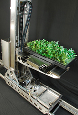 Fraunhofer CMI - Automated Vaccination Plant - Robot holding tray with plants