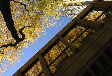 cu_07-2610-028.jpg