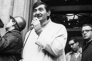 zinn_t.jpg