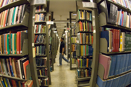 cut08-1138-017 sml.jpg