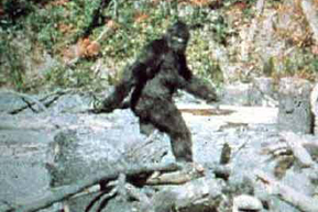 bigfoot_default.jpg