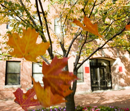cu_p08-2487-010.jpg