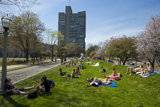 cu09-1375-BUBEACHFUN-133.jpg