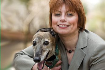 greyhounds_t.jpg