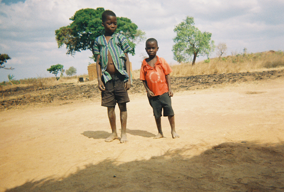 malawi_t.jpg