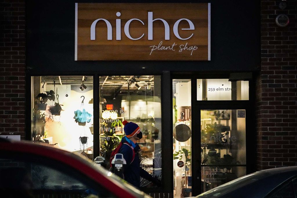 Photo of the facade of niche plant shop at night. A person with a hat and face mask walks by. From outside, through the window, you can see shelves of plants.