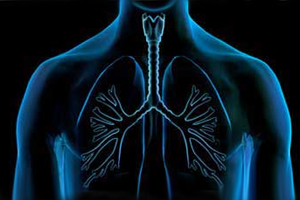 cancer_lungs.jpg