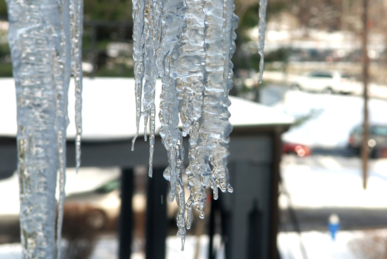 icicles_t.jpg