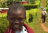 documentary tea fields of Kericho western Kenya, Boston University’s Center for Global Health and Development, HIV-infected workers