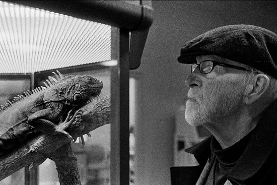 ferryiguana_h.jpg