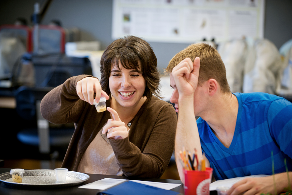 Boston University School of Education