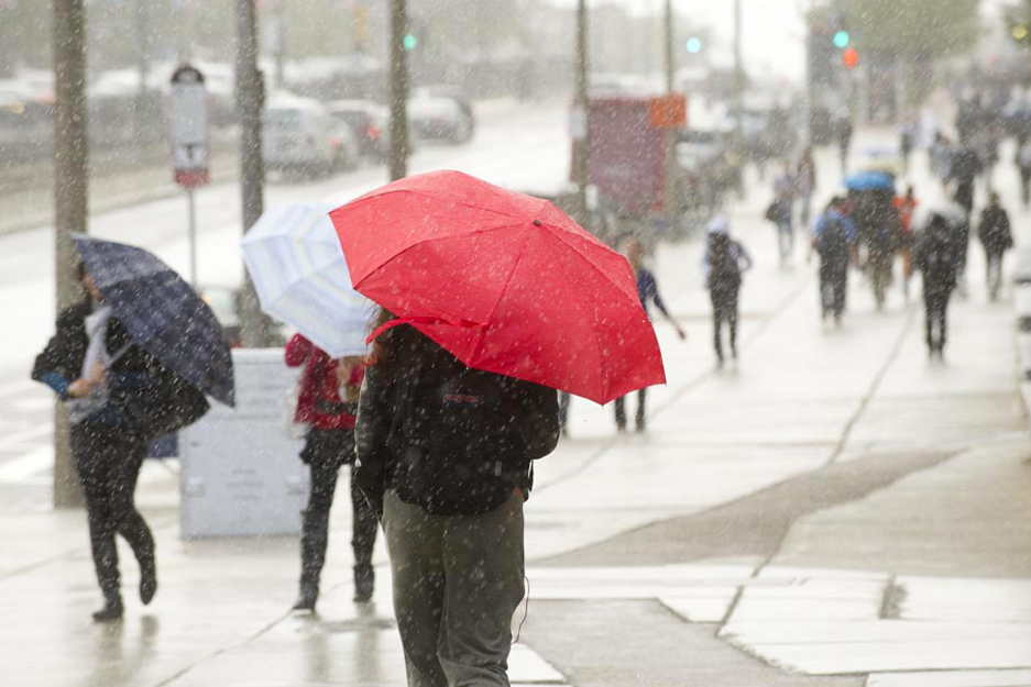 Umbrellas along a rainy Boston University campus