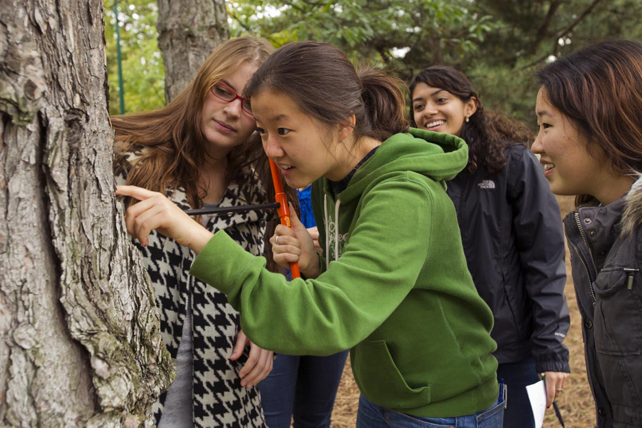 Measuring tree growth, Boston University Biology of Global Change class