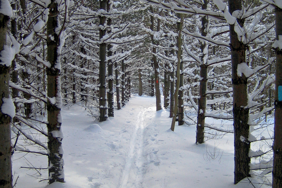 Boston area downhill and cross country skiing