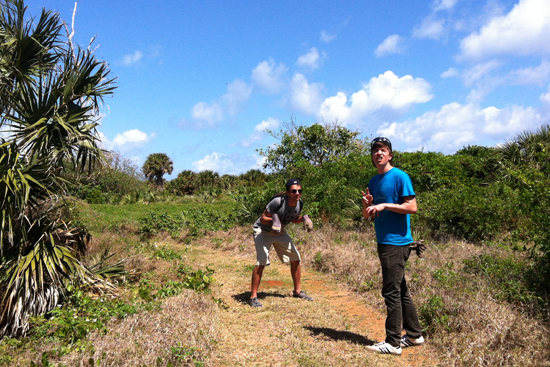 BU ASB Hobe Sound, dinosaurs Boston University Alternative Spring Break BU ASB, Hobe Sound Florida