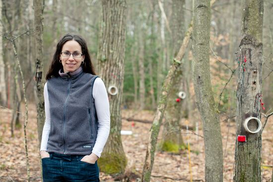 Pam Templer, Assistant Professor of Biology, Boston University College of Arts and Sciences