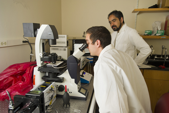 Brian Fallica, Muhammad Zaman Brian Fallica, Muhammad Zaman, Boston University cancer research, metastasis, biomedical engineering