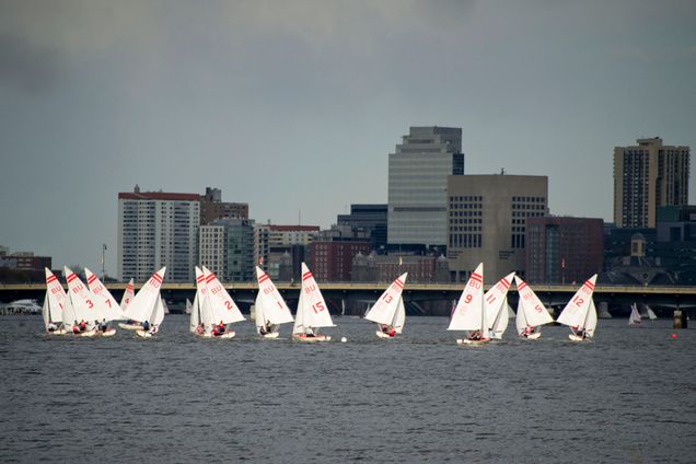 Boston University BU Sailboats