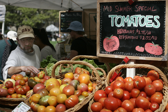 Copley Square Farmers Market Boston