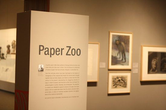 Paper Zoo exhibition at Museum of Fine Arts, Boston, MA