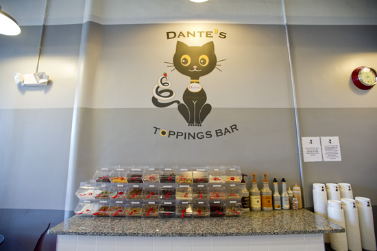 Toppings Bar at Dante's frozen yogurt bar, Boston, froyo