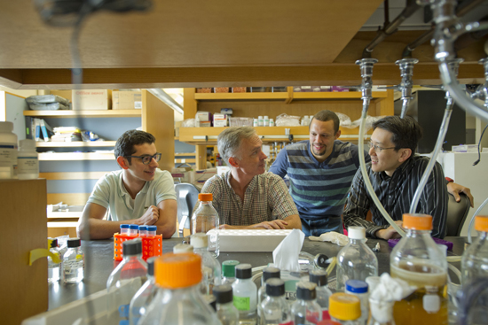 Boston University Collins Lab, synthetic biology research and engineering, Ahmad Khalil, James Collins, Douglas Densmore, Wilson Wong