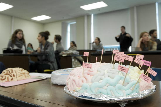 Edible Brain Competition, Neuropsychology, professor Alice Cronin-Golomb, Boston University